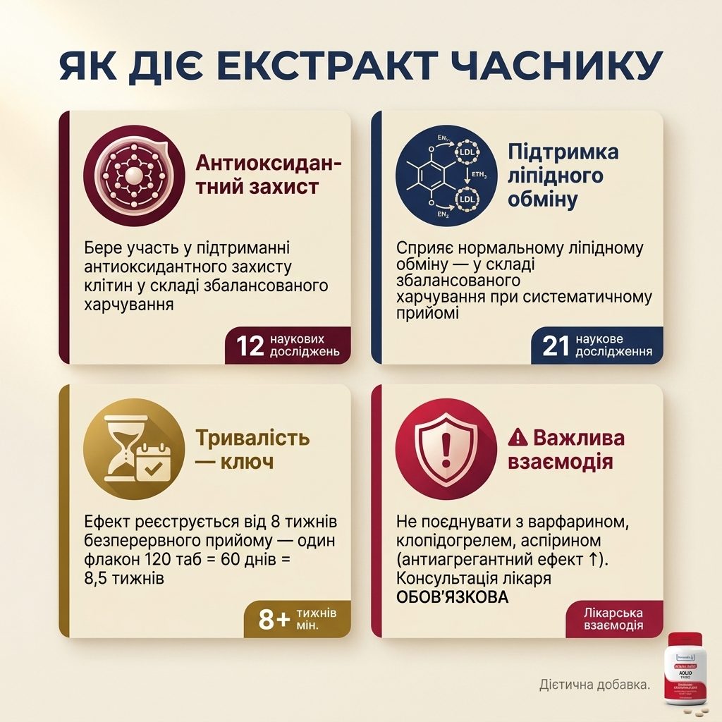 Схема дії аліцину з AGLIO PURO — від молекули у таблетці до системного балансу: чотири напрями підтримки серцево-судинної системи у складі збалансованого харчування