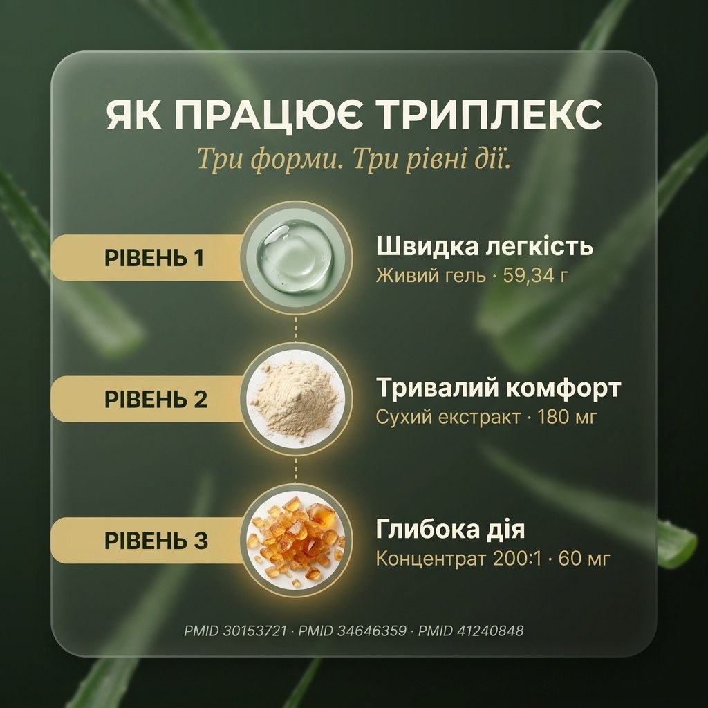 Pharmalife Aloe 3х — механізм дії триплекс-формули: покриття слизової, пребіотична ферментація, підтримка кишкового бар'єру через ацеманнан
