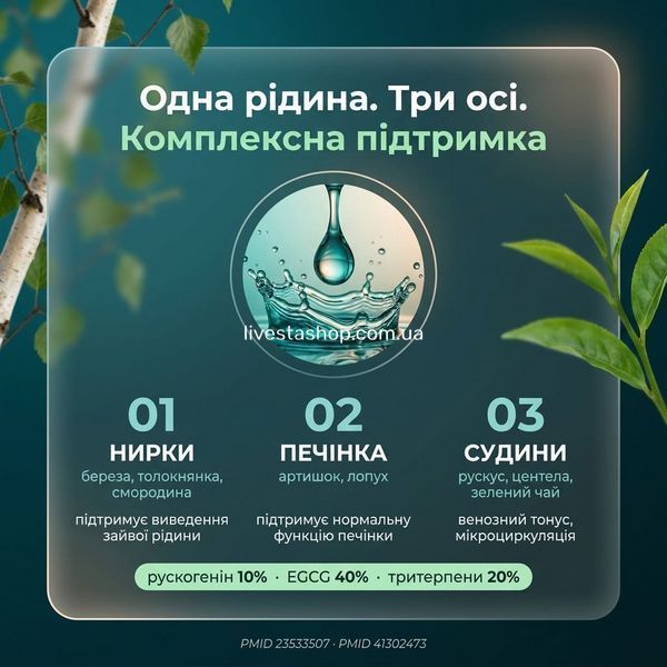 Механізм дії Riducell Дренаж та очищення &mdash; три осі: ниркова (береза, толокнянка), судинна (рускус рускогенін 10%, центела тритерпени 20%), печінкова (артишок, лопух), livestashop