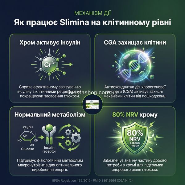 Механізм дії Slimina &mdash; хром активує інсулін, CGA захищає клітини від окислення