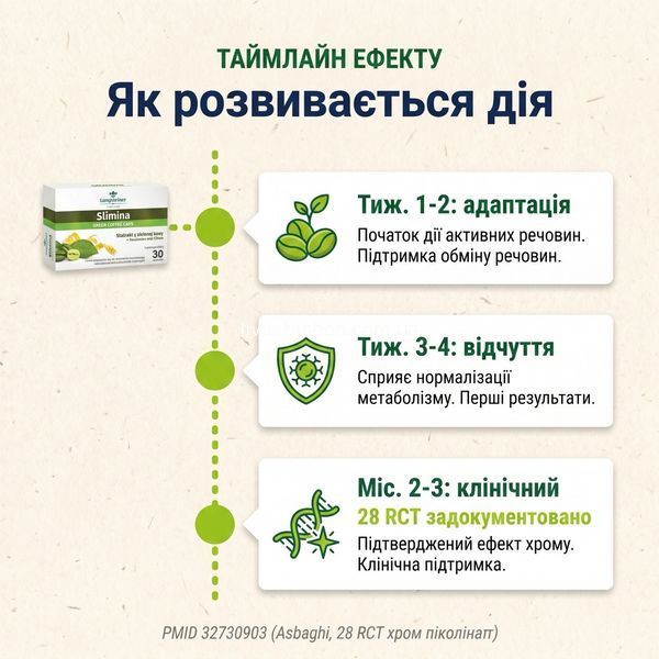 Таймлайн дії Slimina &mdash; тиж. 1-2 адаптація, тиж. 3-4 перші відчуття, міс. 2-3 ефект PMID