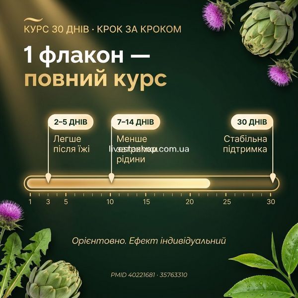 Кому потрібна підтримка печінки &mdash; важкість після їжі, набряки, сезонний курс, аналізи