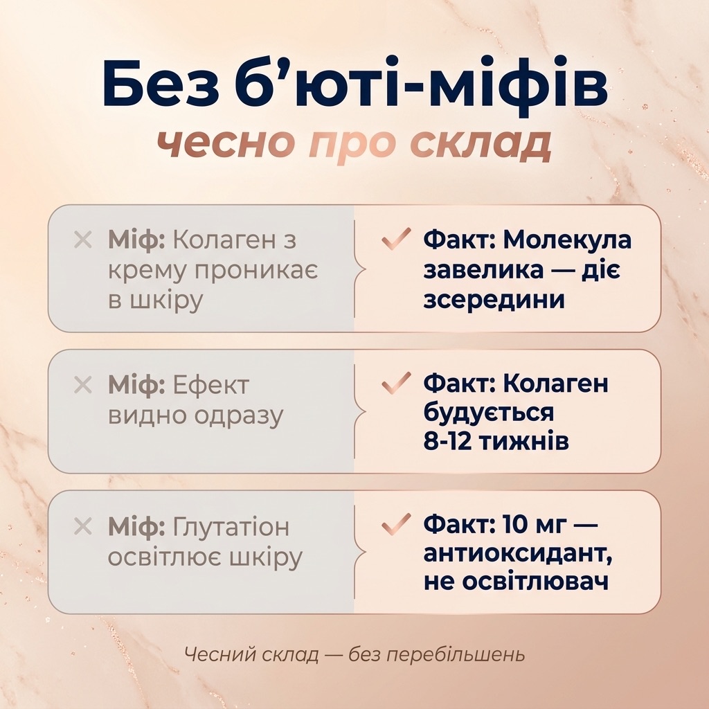 Схема — як SHINE SKIN підтримує шкіру: капсула → всмоктування пептидів у кишківнику → фібробласти дерми → синтез і зшивання колагену → антиоксидантний захист