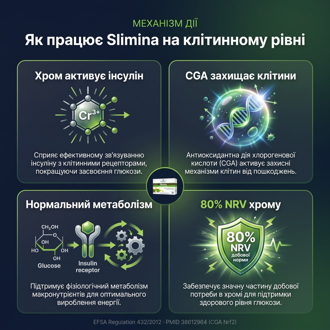 Схема — як хром піколінат і хлорогенова кислота підтримують нормальний метаболізм глюкози і антиоксидантний захист клітин