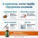 4 причини потреби в бромелайні &mdash; білок, відновлення, операції, вік 40+, livestashop