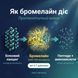 Інфографіка механізму дії бромелайну &mdash; розщеплення білків, протеолітичний ензим, livestashop