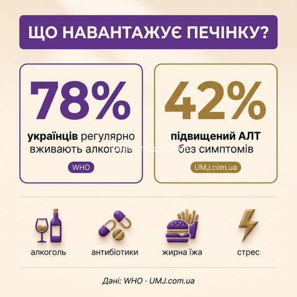 Чинники навантаження на печінку &mdash; алкоголь, антибіотики, жирна їжа, стрес, livestashop