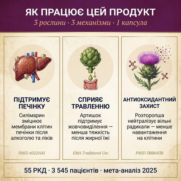 Як працює Viapecia PRO-Thistle &mdash; 3 механізми: підтримує печінку, сприяє травленню, антиоксидантний захист