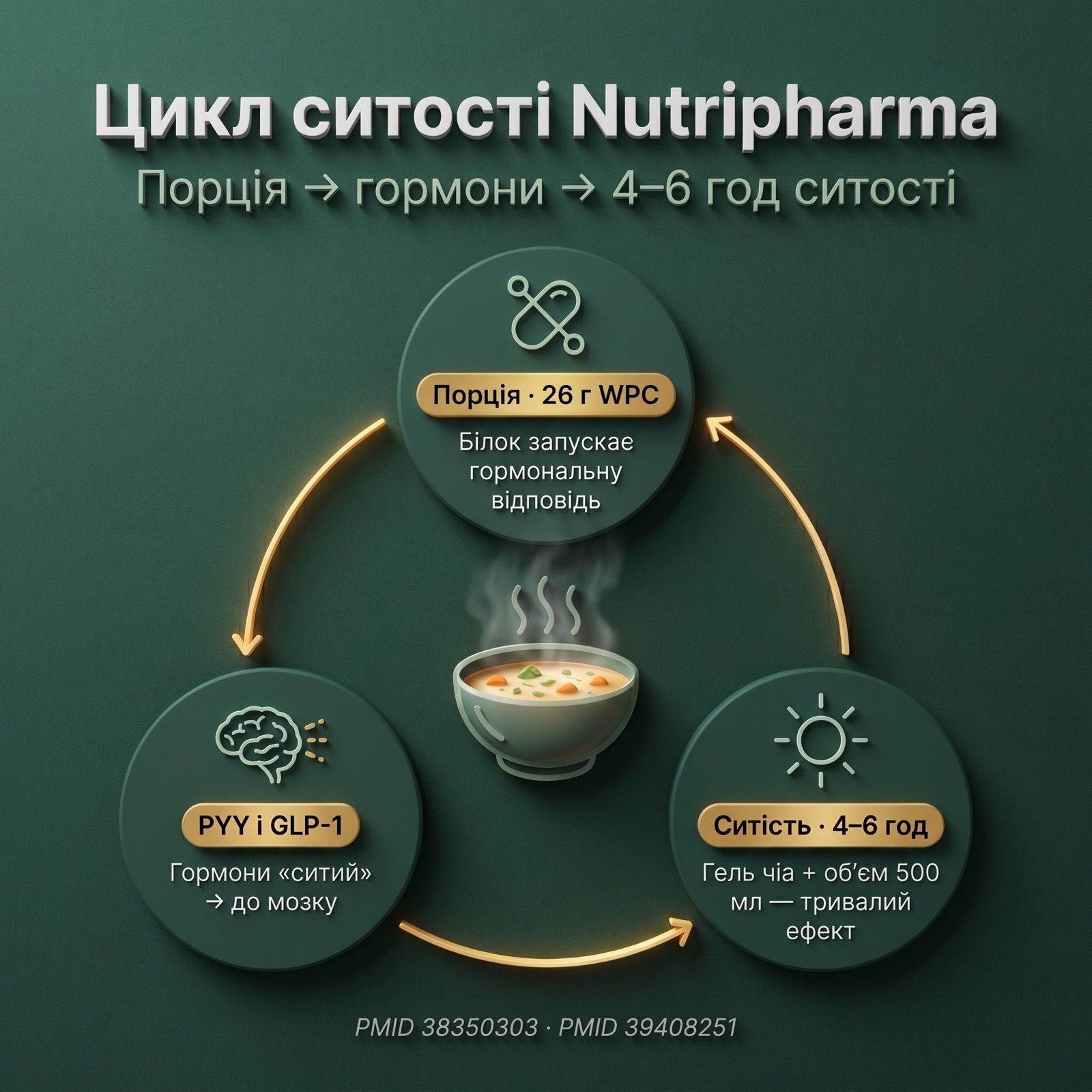 Инфографика: 3 механизма насыщения питательного супа Nutripharma — белок (PYY/GLP-1), клетчаточный гель и защита мышц