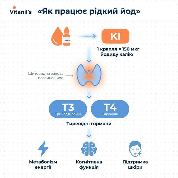 Інфографіка механізму дії: йодид калію &rarr; щитовидна залоза &rarr; синтез T3 і T4 &rarr; метаболізм, енергія, когніція