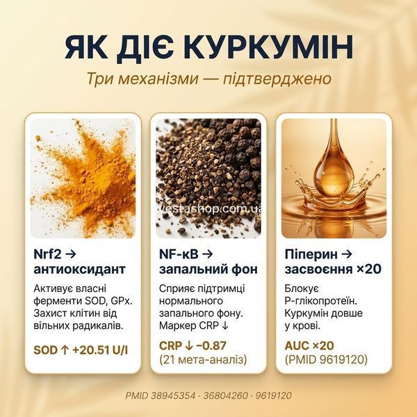 Куркумін Vitanil's &mdash; механізм Nrf2, NF-&kappa;B та засвоєння &times;20 з піперином, антиоксидантний захист