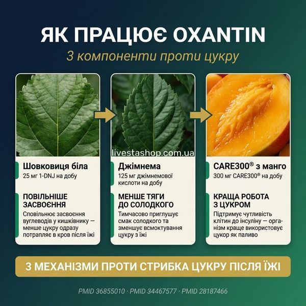 Як працює Oxantin: шовковиця, джімнема та CARE300 з манго &mdash; 3 рослинні компоненти проти стрибка цукру | livestashop