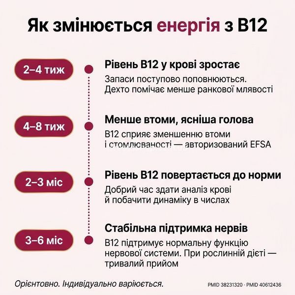 Як змінюється енергія з B12: 2&ndash;4 тижні / 4&ndash;8 тижнів / 2&ndash;3 місяці / 3&ndash;6 місяців &mdash; орієнтовний прогрес, livestashop