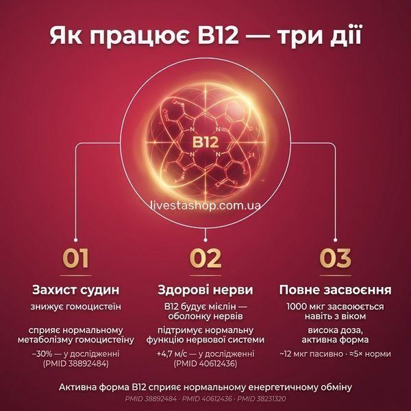 Механізм дії B12: метаболізм гомоцистеїну &minus;30%, синтез мієліну нервів, пасивна дифузія 1000 мкг, PMID 38892484, livestashop