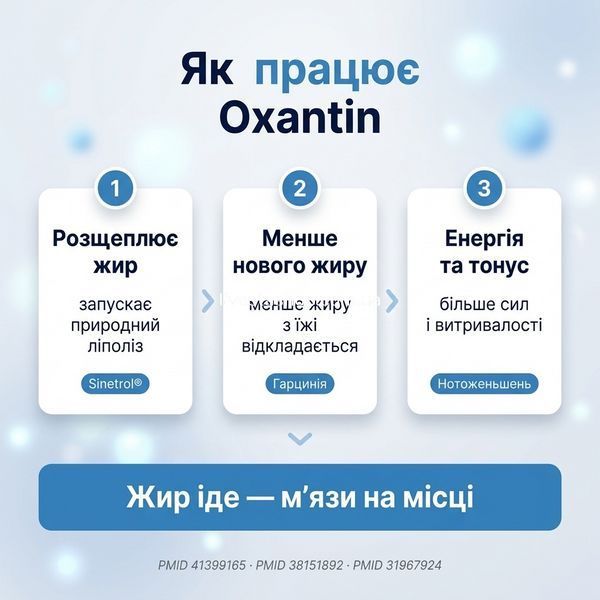 Механізм дії Oxantin Lipid Reduce &mdash; 4 рівні ліполізу: PDE блокада Sinetrol, HCA, LXR, збереження м'язів