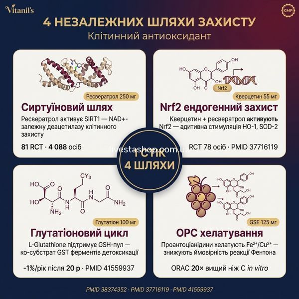 4 молекулярних шляхи антиоксидантного захисту Ресвератрол Vitanil's &mdash; SIRT1, Nrf2, GSH, OPC