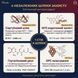 4 молекулярних шляхи антиоксидантного захисту Ресвератрол Vitanil's &mdash; SIRT1, Nrf2, GSH, OPC
