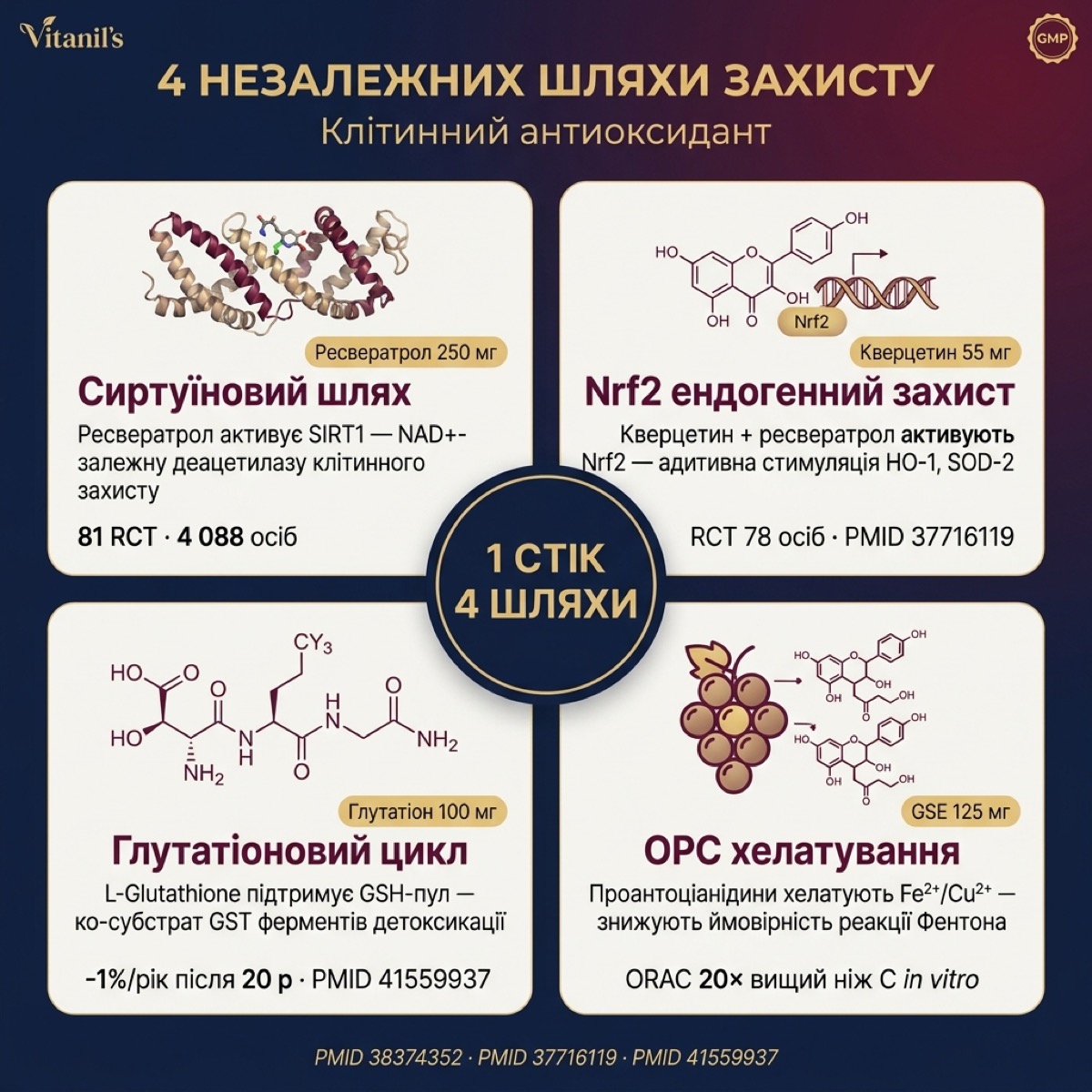 Ресвератрол Vitanil's — схема чотирьох молекулярних шляхів антиоксидантного захисту: SIRT1, Nrf2, GSH, OPC хелатування