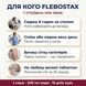 Для кого Flebostax &mdash; сидяча робота 8 годин, на ногах весь день, перші капілярні ознаки, альтернатива великим таблеткам