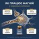Інфографіка магнію &mdash; як працює в нервових клітинах: спокій, сон, м'язи, енергія, Vitanil's, livestashop