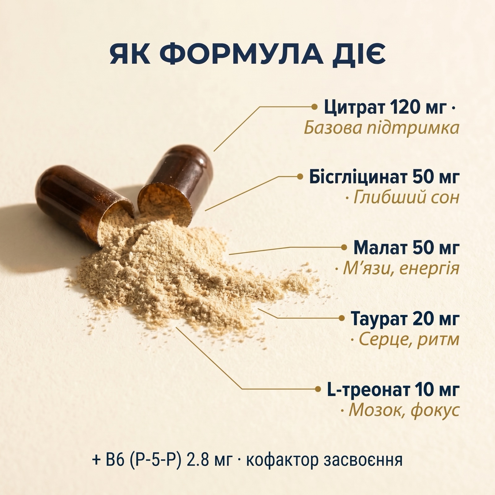 Инфографика пяти транспортных путей магния Vitanil's: цитрат через TRPM6, бисглицинат через PEPT1, малат в митохондрии, таурат в сердце, L-треонат через гематоэнцефалический барьер — ночно-синие тона