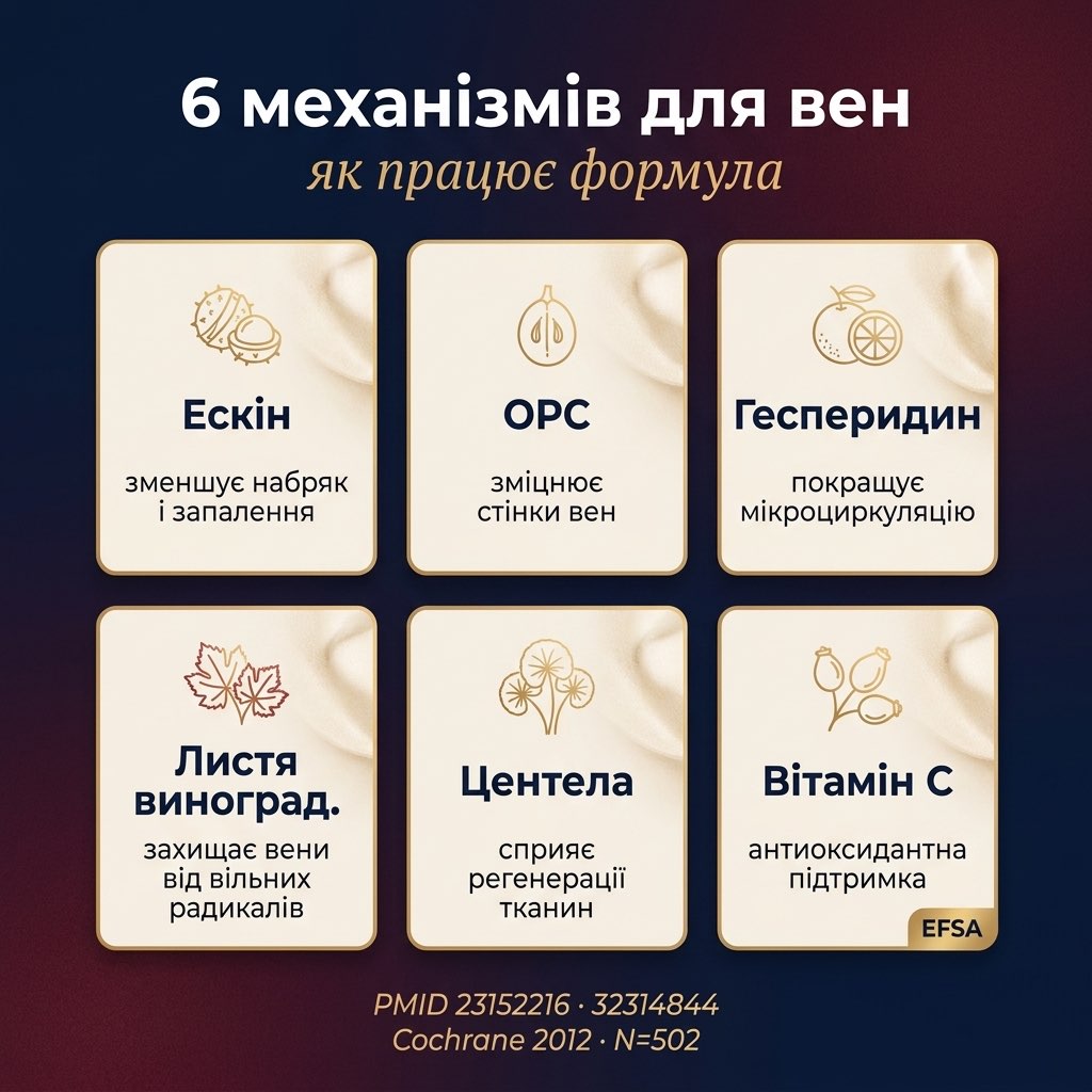 Схема действия 6-компонентной формулы Flebostax COMPRESSE — три группы механизмов: антиоксидантная защита, венозный тонус, поддержка соединительной ткани