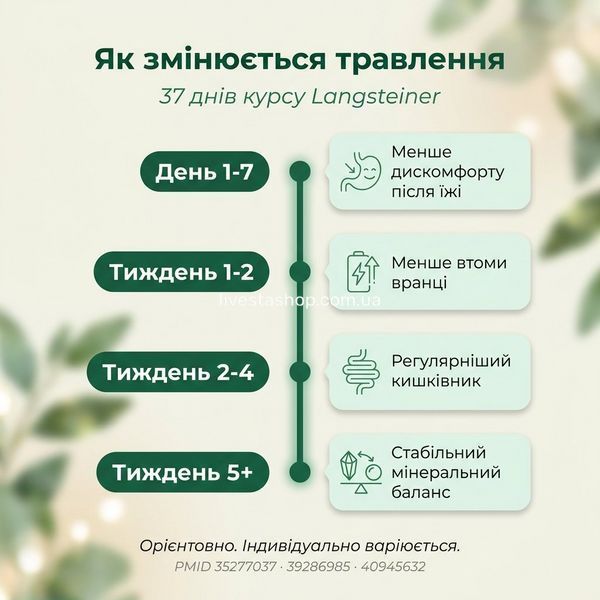 Таймлайн ефекту Langsteiner &mdash; 4 етапи за 37 днів: травлення, втома, кишківник, мінеральний запас