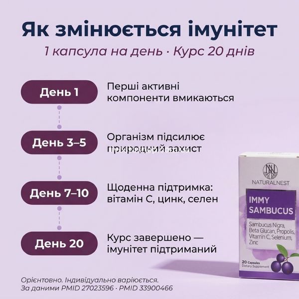 Як змінюється імунітет з NATURALNEST: День 1 Elderberry, День 3-5 Beta-Glucan, День 20 курс