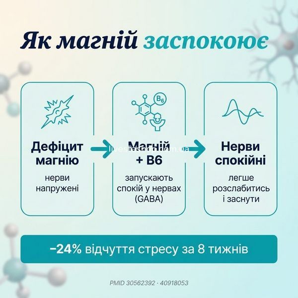 Інфографіка 3 механізми дії NATURALNEST Магній &mdash; GABA нейрони, B6 нейромедіатори, D3+K2 кістки, PMID докази, livestashop