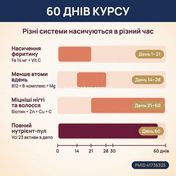 60 днів курсу Vitanil's Women &mdash; 4 системи насичуються в різний час: феритин, енергія, нігті