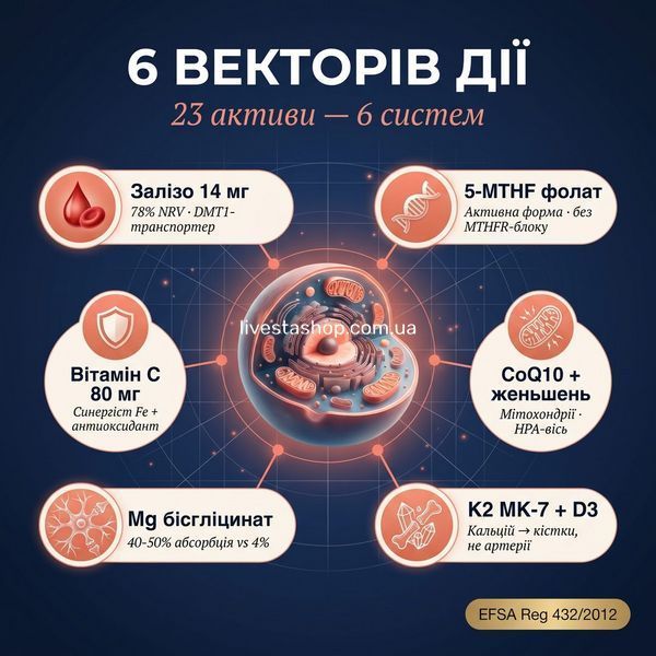 Механізм дії Vitanil's Women &mdash; 6 векторів: Fe, фолат 5-MTHF, CoQ10, K2 MK-7, магній, вітамін C