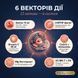 Механізм дії Vitanil's Women &mdash; 6 векторів: Fe, фолат 5-MTHF, CoQ10, K2 MK-7, магній, вітамін C