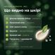 Активний склад крему Aspersina Detox &mdash; Silica, равликовий слиз, олія чорного кмину, бакучіол, зелений чай для матової шкіри