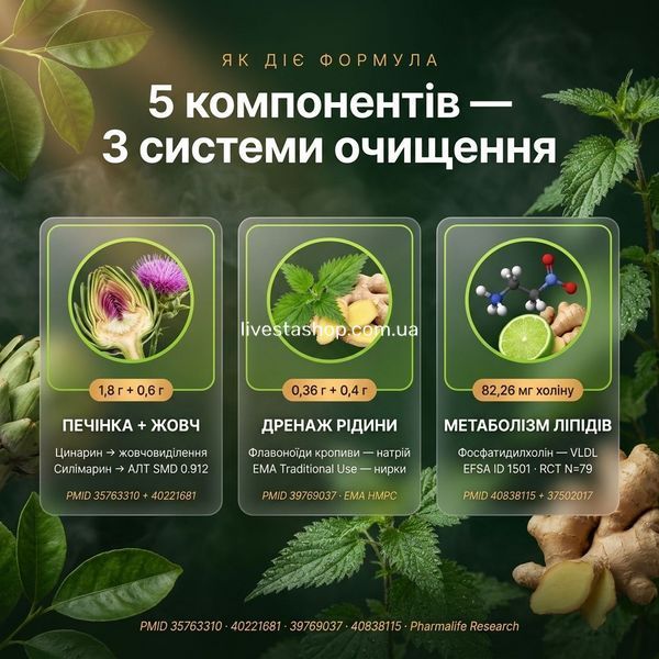 Механізм дії Drenlife Detox &mdash; підтримка печінки, жовчовиділення, дренаж, метаболізм ліпідів