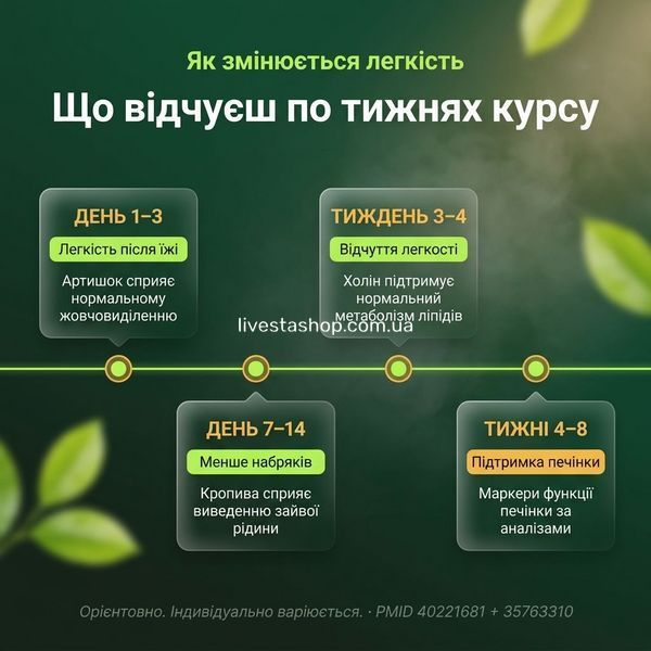 Drenlife Detox часовий ефект &mdash; легкість після їжі 1&ndash;3 дні, менше набряків 7&ndash;14 днів