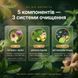 Механізм дії Drenlife Detox &mdash; підтримка печінки, жовчовиділення, дренаж, метаболізм ліпідів