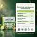 Склад Drenlife Detox &mdash; артишок 1,8г, розторопша 0,6г, холін 82,26мг, Pharmalife Italia