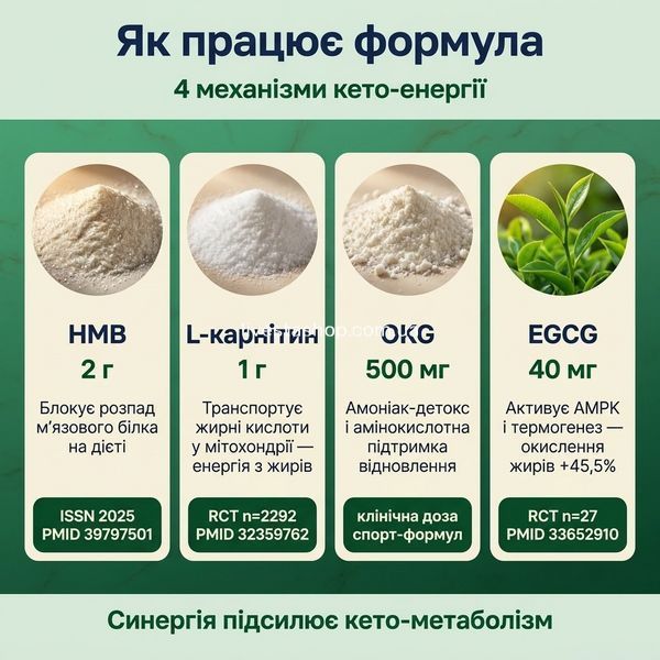 Як працює Oxantin Slim Keto &mdash; захищає м'язи, транспортує жири, відновлює, активує обмін, livestashop