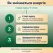 Як змінюється відновлення за 15 днів прийому Oxantin Slim Keto &mdash; тиждень за тижнем, livestashop