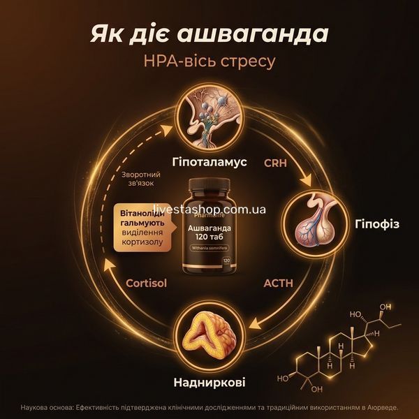 Механізм дії ашваганди Pharmalife: HPA вісь стресу, гіпоталамус-гіпофіз-надниркові