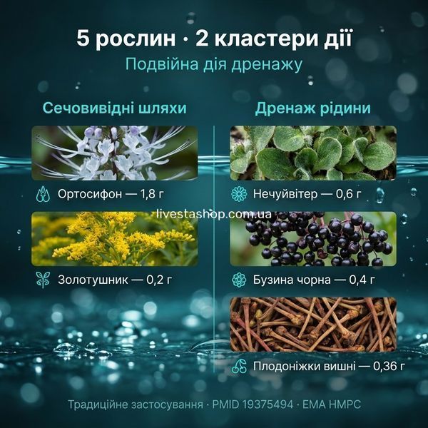 Drenlife Diur механізм дії &mdash; 5 рослин 2 кластери сечовивідні шляхи і дренаж рідини EMA HMPC