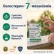 Biostatine Active на балконі вранці &mdash; щоденний ритуал підтримки серцево-судинного здоров'я Pharmalife