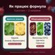 Механізм дії Drenlife Лімфодренаж &mdash; 5 рослин у 2 напрямах: дренаж рідини (береза, ананас-бромелайн) і мікроциркуляція (виноград OPC, центела, чорниця)