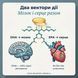 Як EPA та DHA підтримують мозок і серце &mdash; механізм дії Omega-3 IQ Oil Langsteiner