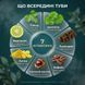 Інфографіка 7 ботанічних активів гелю Riducell &mdash; плющ, Centella, ламінарія, кофеїн, Escin, рутин, бергамот