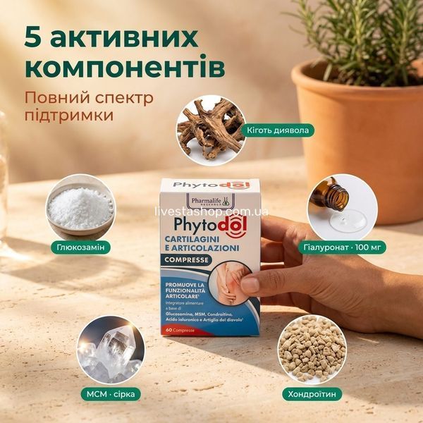Дієтична добавка Phytodol "Комплекс для підтримки суглобів", 60 таблеток 500387 фото