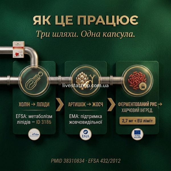 Механізм дії Антихолестерин+ &mdash; холін EFSA, артишок EMA, ферм.рис EU food-grade, livestashop