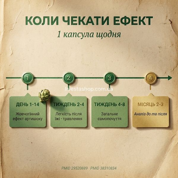 Таймлайн ефекту Антихолестерин+ Langsteiner: 1-14 дні артишок, 2-3 місяці аналіз, livestashop