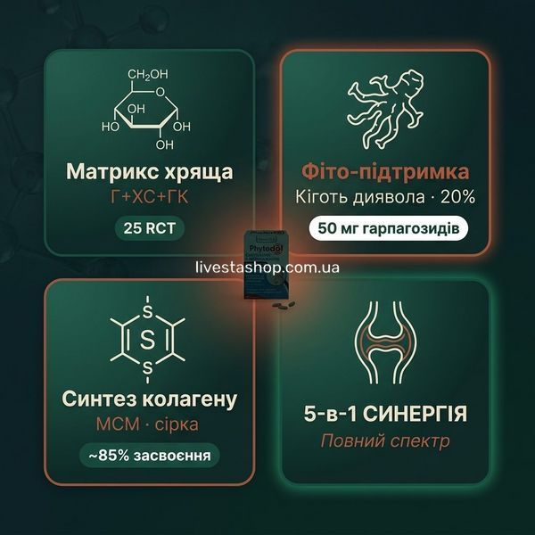 Механізми Phytodol &mdash; матрикс хряща, фіто-підтримка кігтя диявола, синтез колагену МСМ