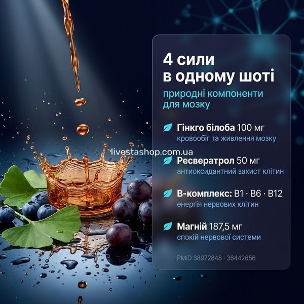 4 сили BRAIN MEMORY в одному шоті &mdash; природні компоненти для мозку: гінкго білоба 100мг, ресвератрол 50мг, В-комплекс B1 B6 B12, магній 187,5мг